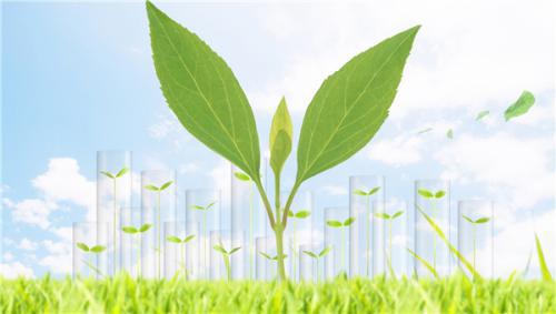 陽光人壽新疆分公司：護航天山南北，以保險溫度禮贊新疆維吾爾自治區成立70周年